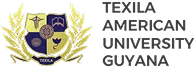 Texila Logo